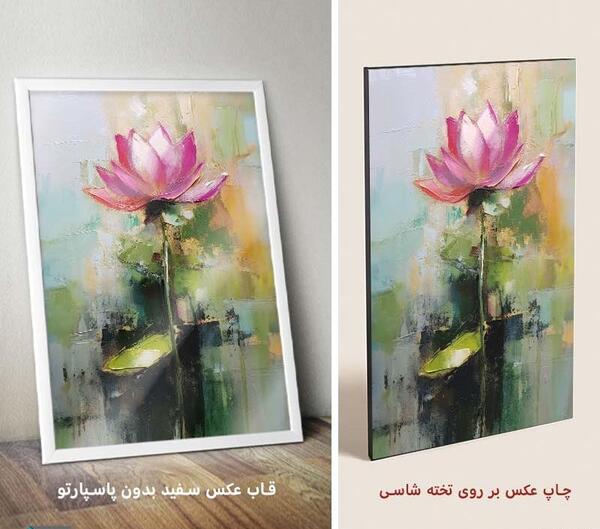 عکس گل لوتوس
