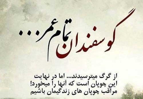 عکس نوشته تیکه دار سنگین به رفیق