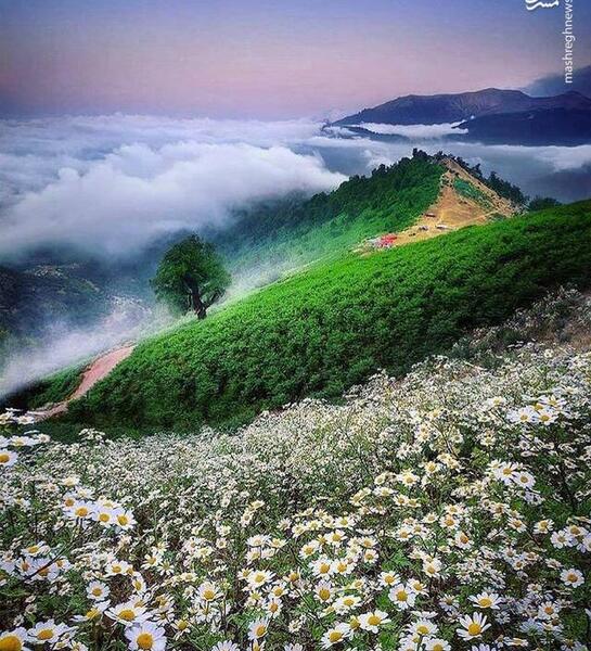 عکس بهشت مجازی