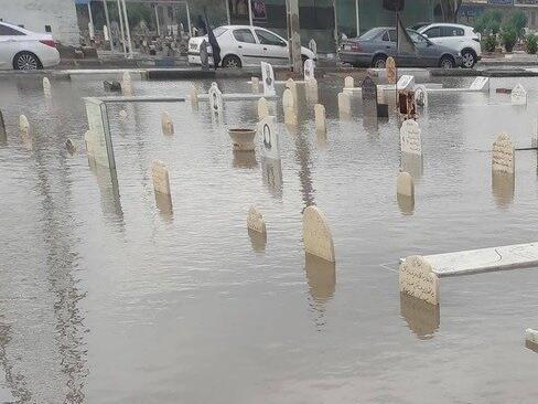 عکس بهشت مجازی