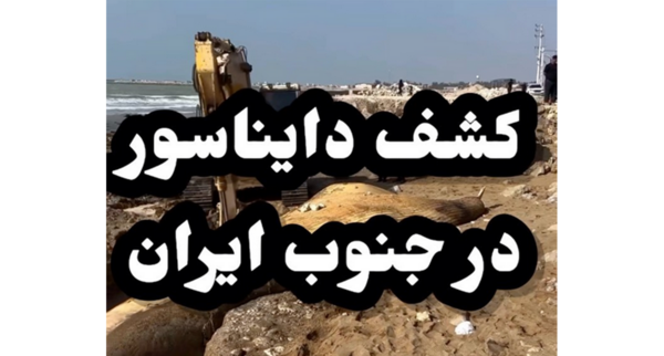 تیرکس عکس دایناسور واقعی زنده در ایران