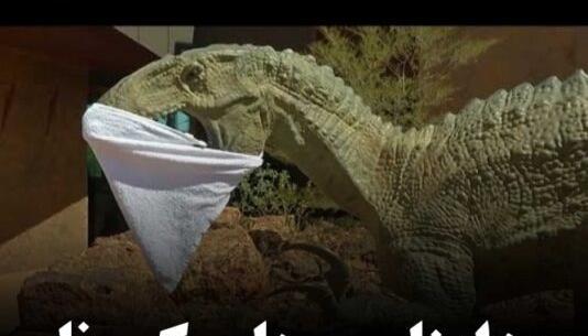 تیرکس عکس دایناسور واقعی زنده در ایران