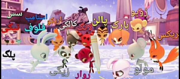 عکس میراکلس میمون