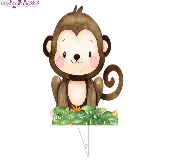 عکس میراکلس میمون
