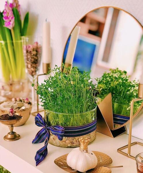 عکس سبزه سفره هفت سین