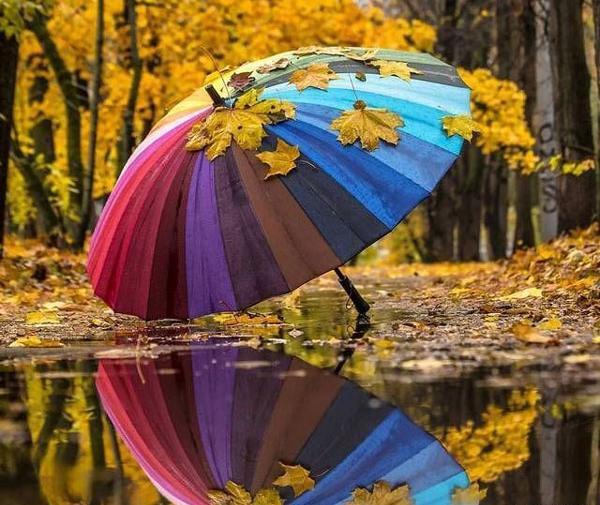 عکس پاییزی برای پروفایل واتساپ