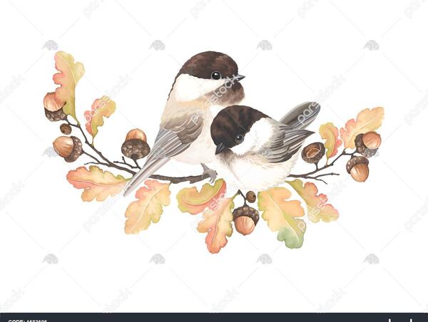 عکس پاییزی قدیمی