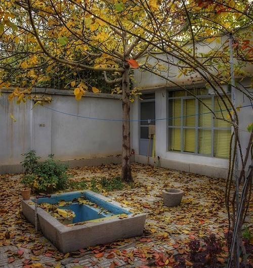 عکس پاییزی قدیمی
