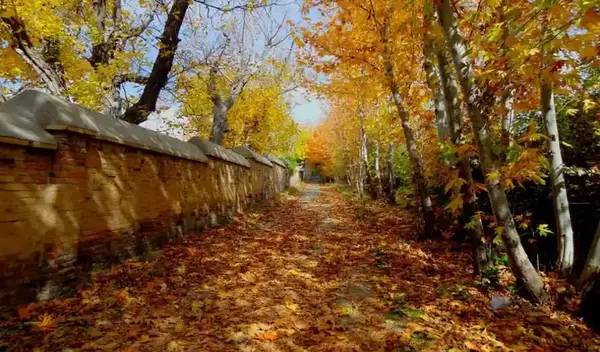 عکس پاییزی قدیمی