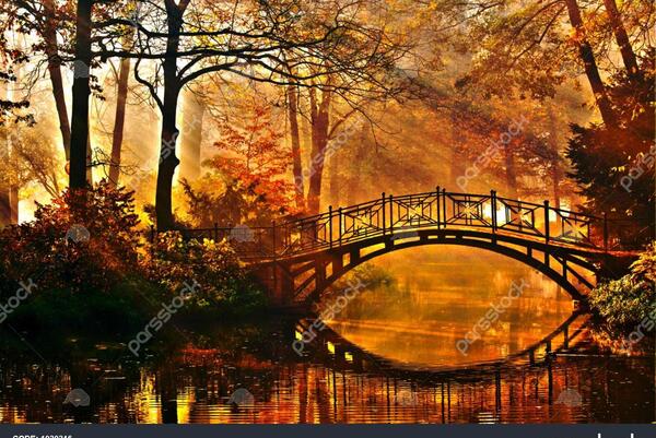 عکس پاییزی قدیمی