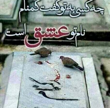عکس نوشته روز شهدا