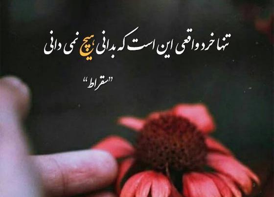 عکس برای وضعیت واتساپ فلسفی