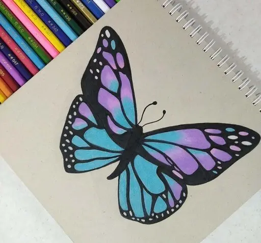 عکس نقاشی پروانه