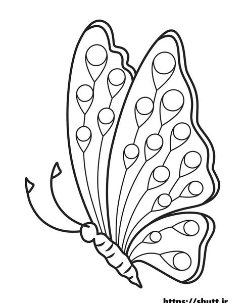 عکس نقاشی پروانه