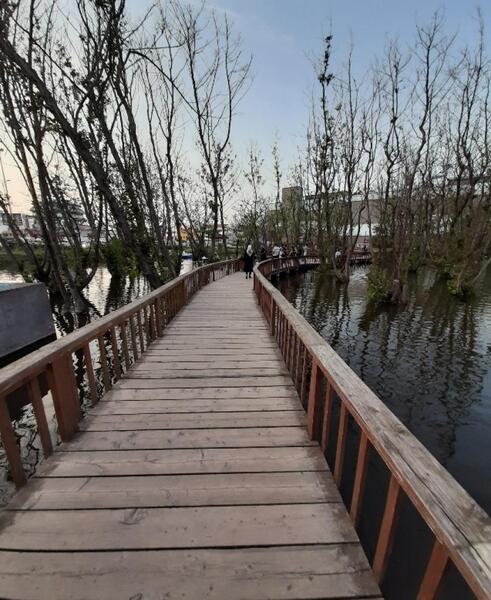 عکس بهشت پرندگان