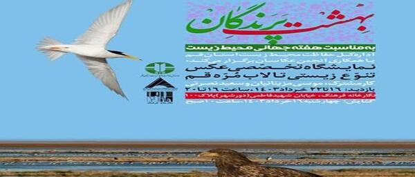 عکس بهشت پرندگان