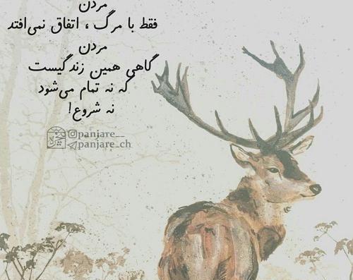 عکس نوشته شاخ مرگ