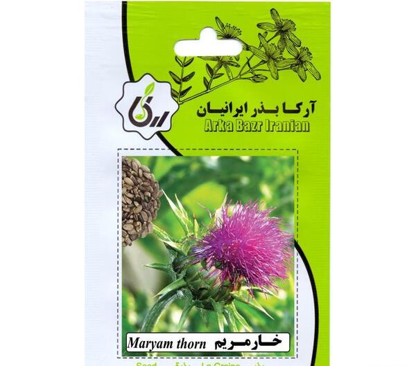 دانلود عکس گل خار مریم