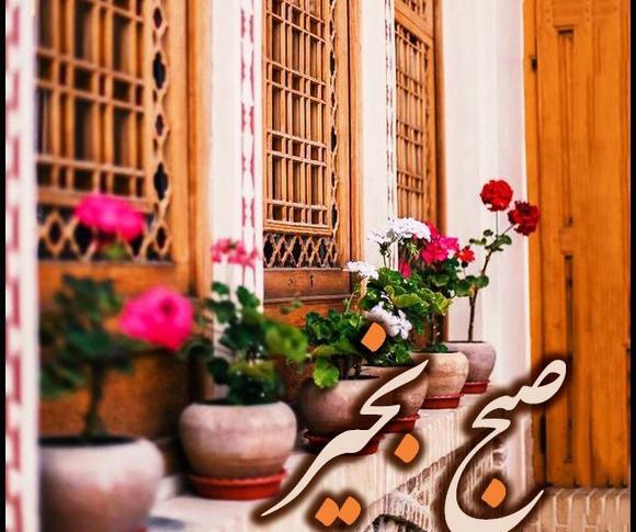عکس صبح بدون نوشته
