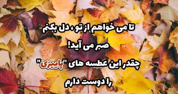عکس استوری درباره پاییز