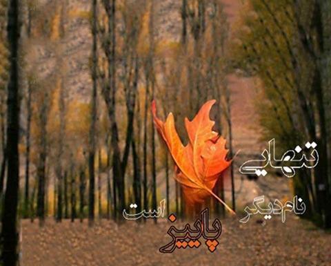 عکس استوری درباره پاییز