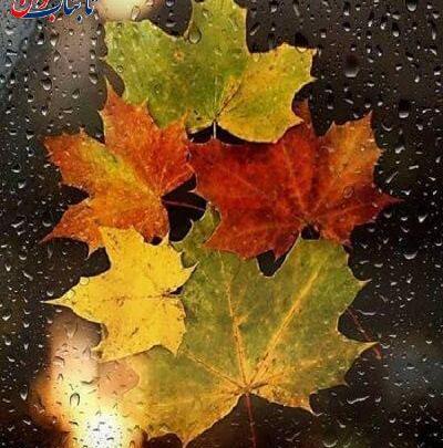 عکس استوری درباره پاییز