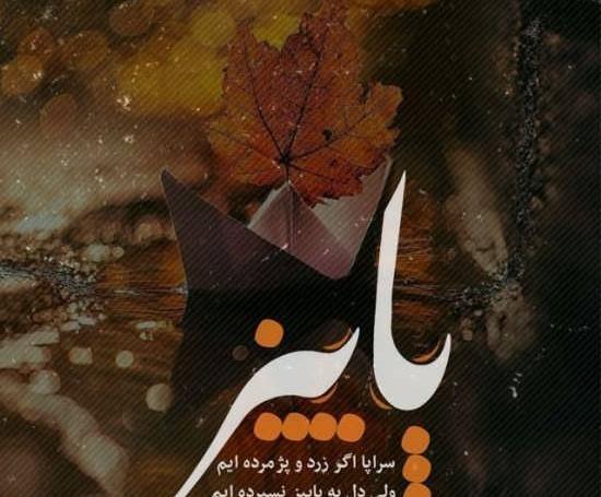 عکس استوری درباره پاییز