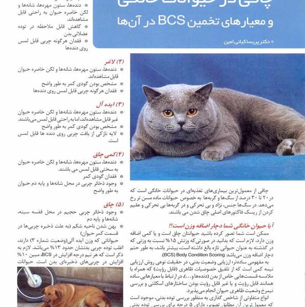 عکس حیوانات لاغری
