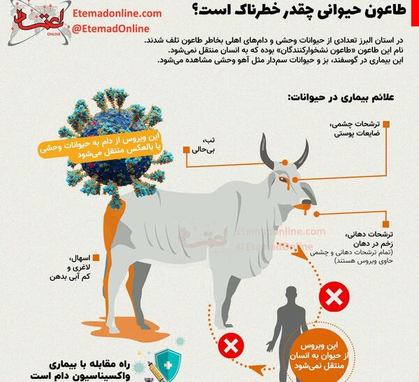 عکس حیوانات لاغری