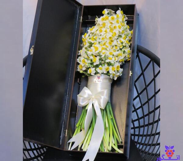 عکس گل نرگس روی ماشین