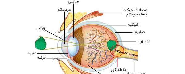 عکس ساختمان چشم و گوش