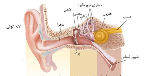 عکس ساختمان چشم و گوش