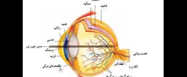 عکس ساختمان چشم و گوش