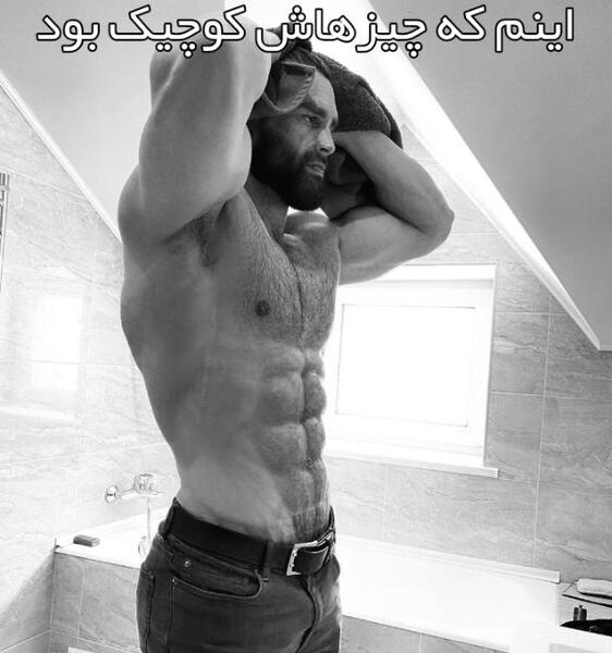 عکس حیوانات سیکس پک دار