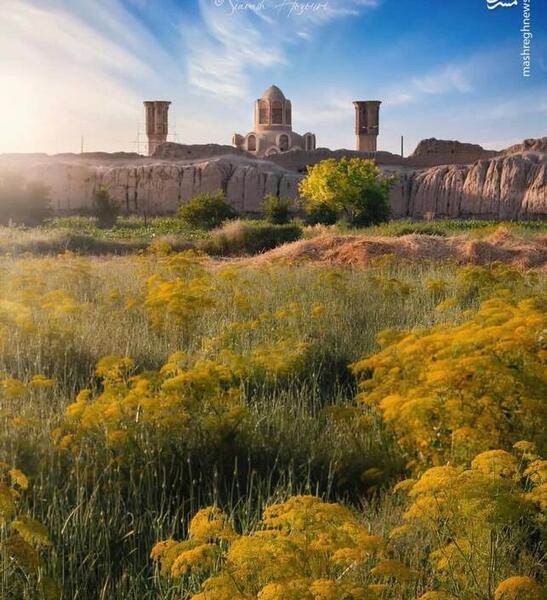 عکس جلالی