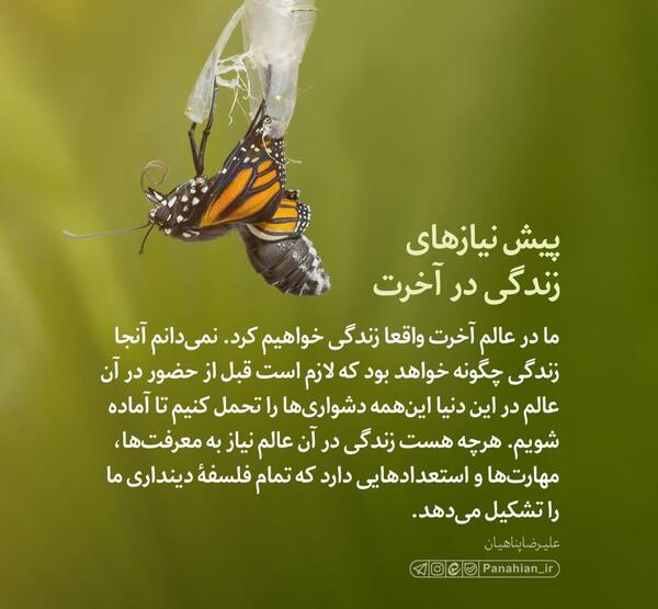 عکس نوشته چگونه زندگی کنیم