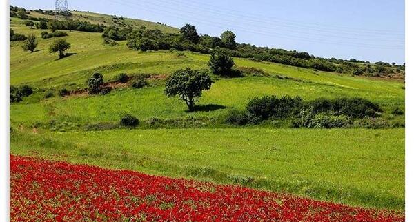 عکس جاهای دیدنی دیلمان
