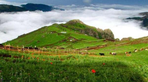 عکس جاهای دیدنی دیلمان