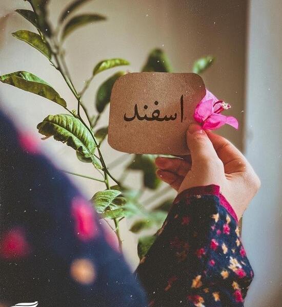 عکس پروفایل غمگین اسفند ماهی