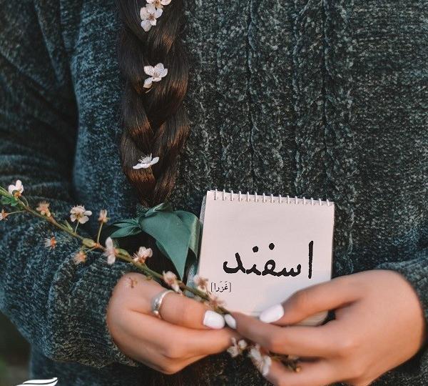 عکس پروفایل غمگین اسفند ماهی