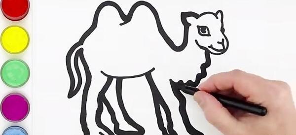 عکس شتر برای نقاشی
