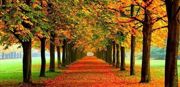 عکس پاییز فیلم