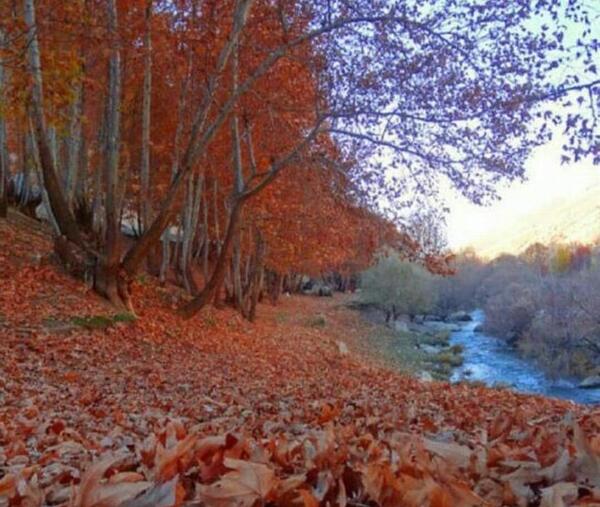 عکس پاییز فیلم