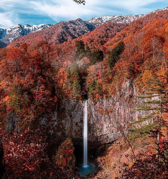 عکس پاییز فیلم