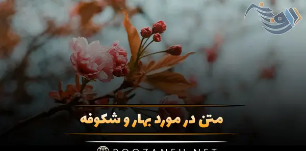 عکس غنچه بهاری