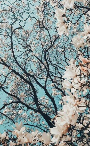 عکس صفحه فول اچ دی