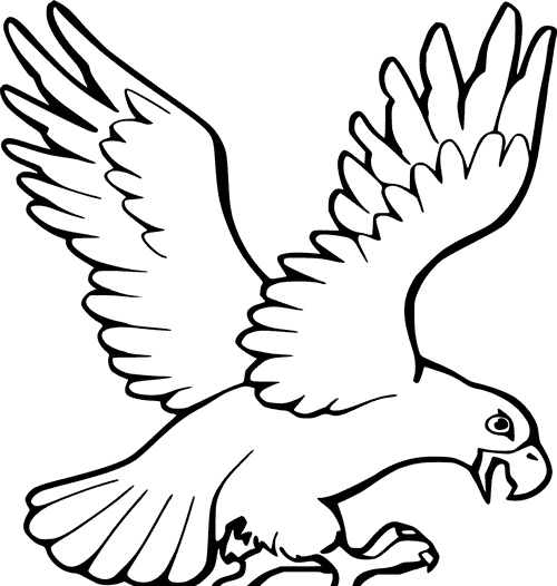 عکس نقاشی پرنده ساده و زیبا در حال پرواز
