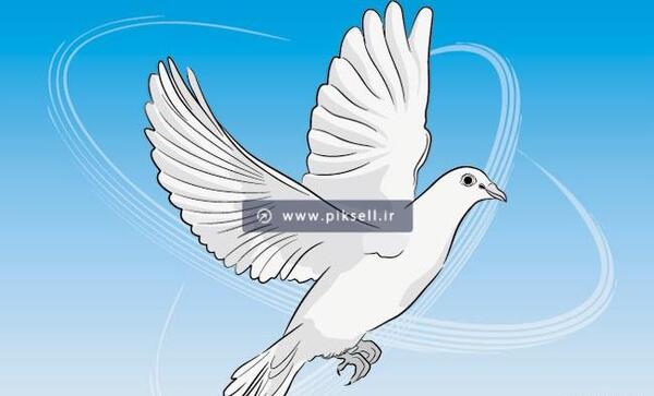 عکس نقاشی پرنده ساده و زیبا در حال پرواز