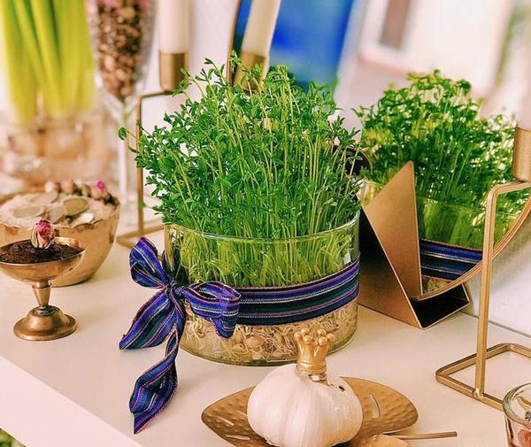 عکس انواع سبزه عید جدید
