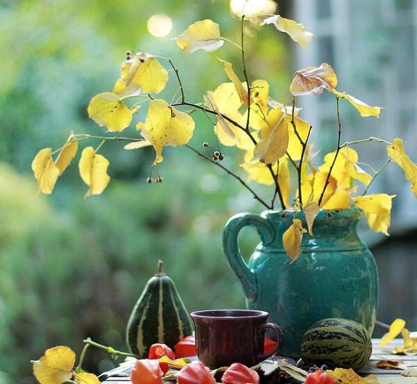 عکس پروفایل بدون نوشته گل